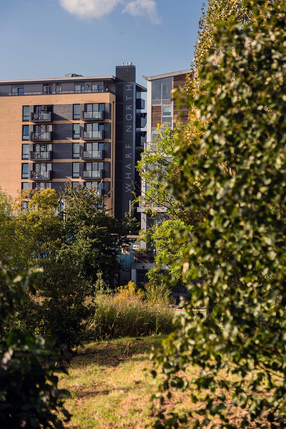 Residential blocks with balconies seen through trees and long grass, the words Wharf North running down a dark stair core