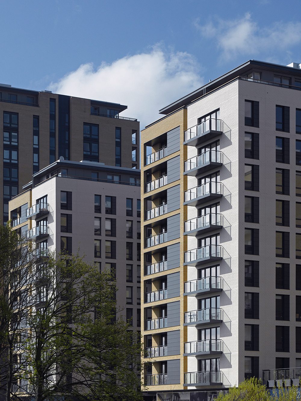 Two neighbouring residential towers in white and buff brick with light panelled bays and projecting balconies, trees in the foreground
