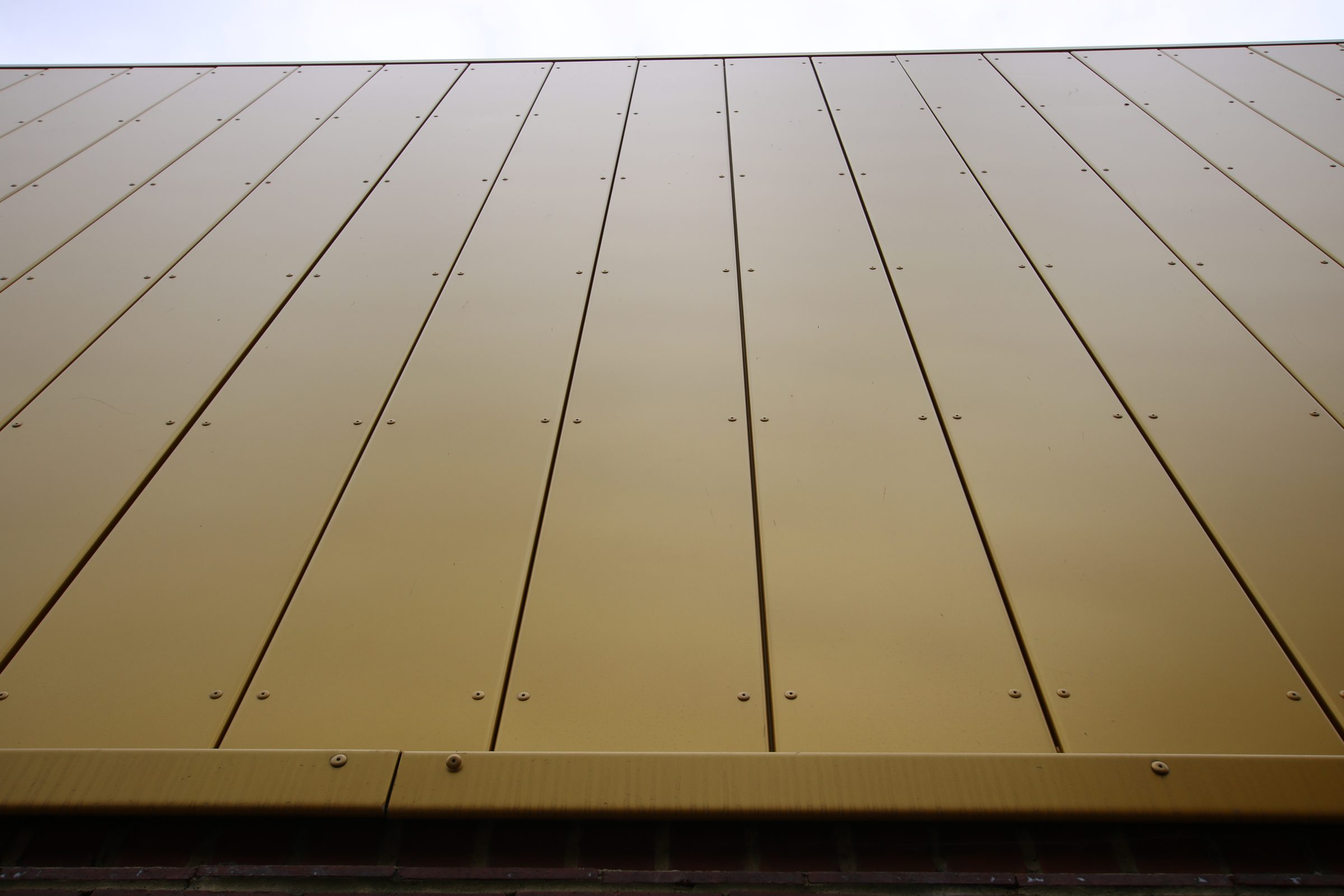 Close view up the face of gold aluminium rainscreen panels, their vertical joints running dead straight to the roofline